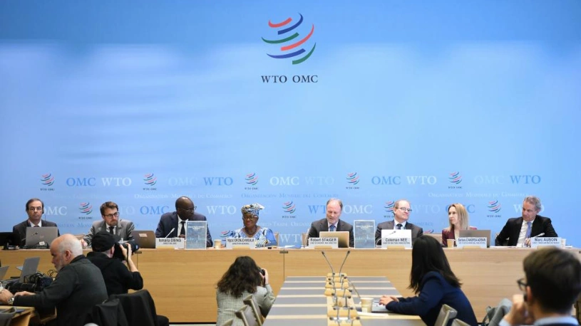 WTO: Thương mại toàn cầu giảm tốc năm 2026