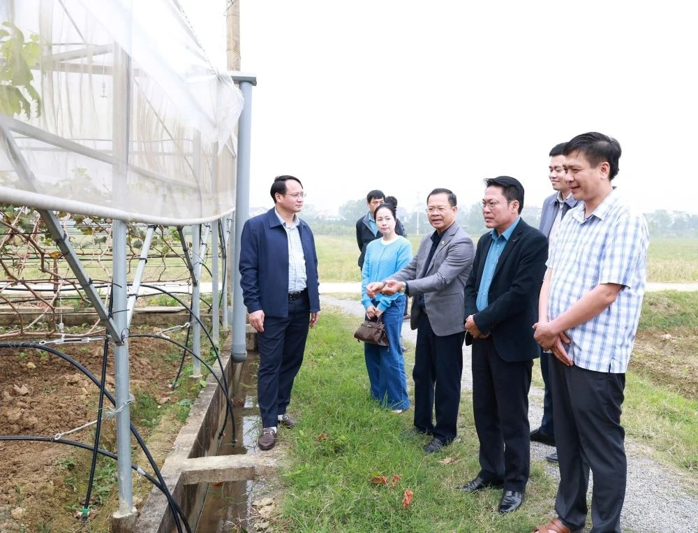 16 sở, ngành, đơn vị được giao chung tay cùng tỉnh xây dựng nông thôn mới