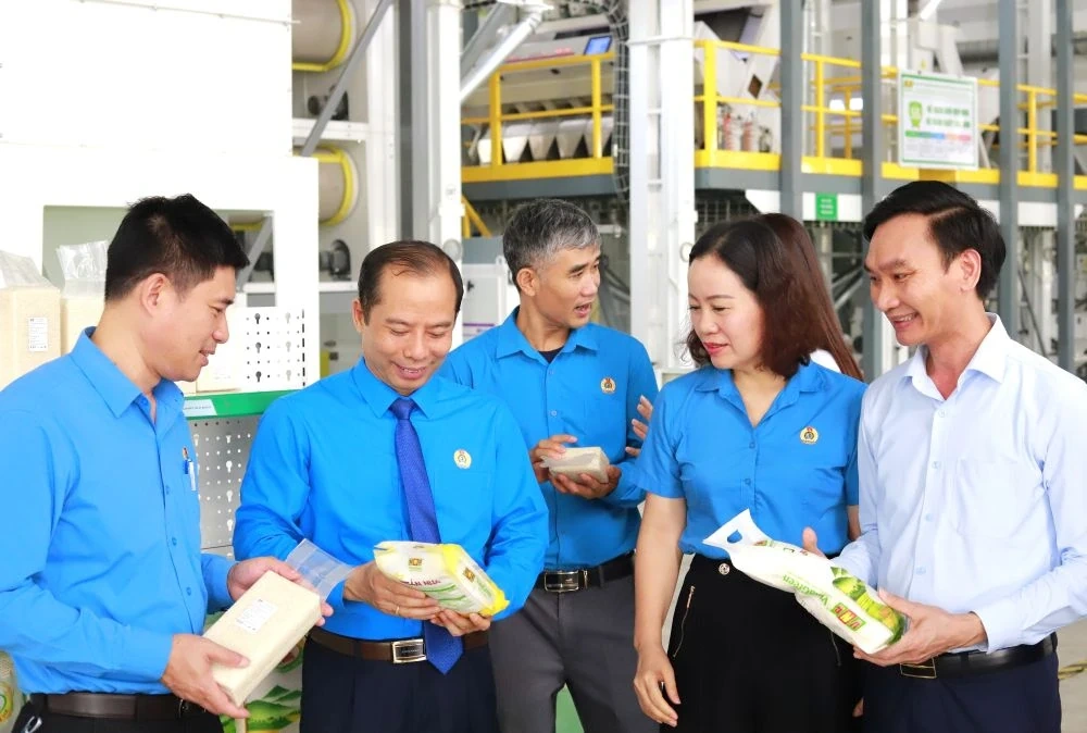 Liên đoàn Lao động tỉnh Thanh Hóa và Hội Doanh nhân trẻ tỉnh ký kết Chương trình phối hợp giai đoạn 2026-2030