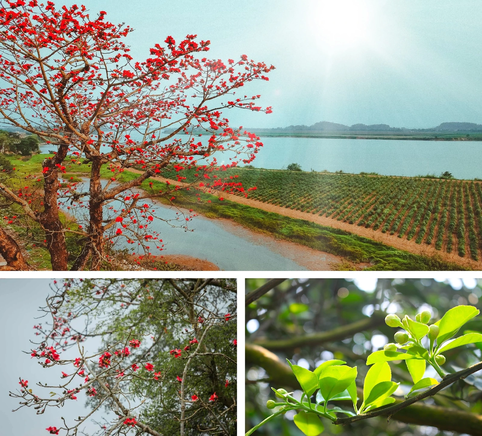 [E-Magazine]: Hơi ấm giao mùa