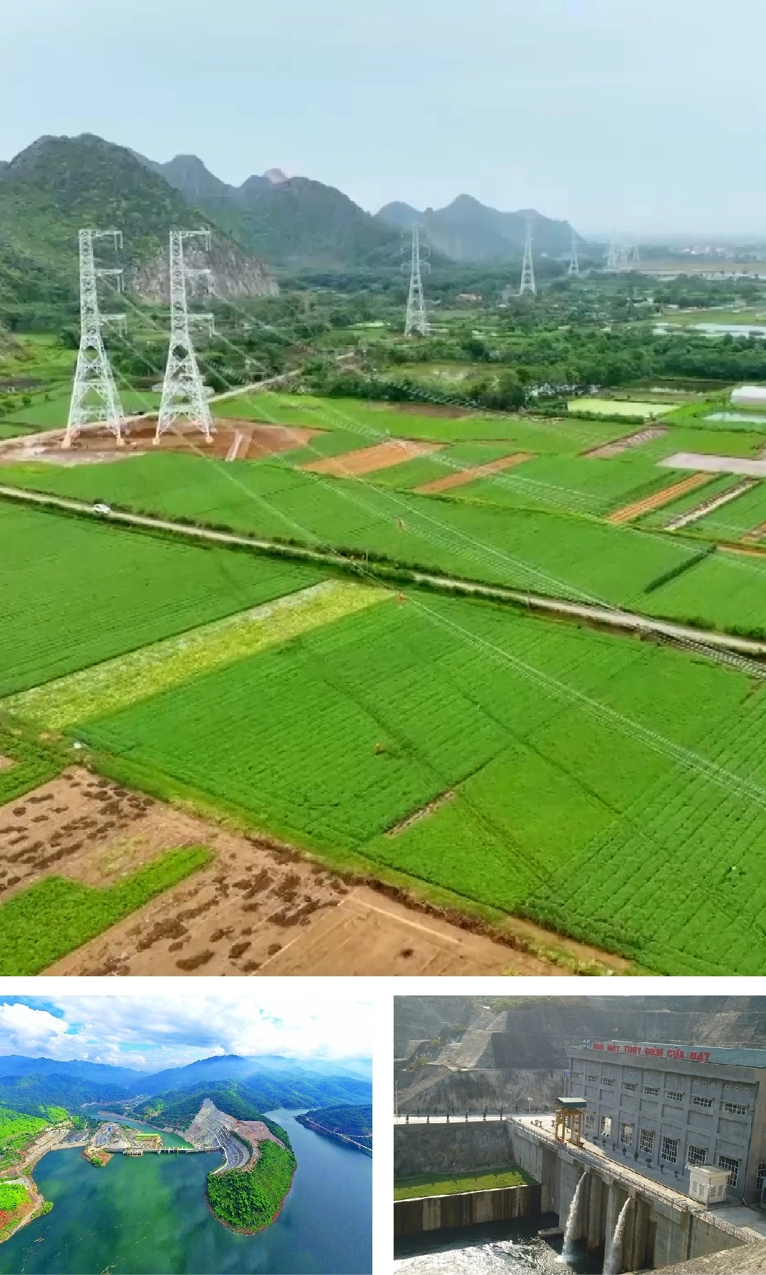 [E-Magazine]: Xây dựng “hệ sinh thái hạ tầng” để doanh nghiệp “bám rễ”