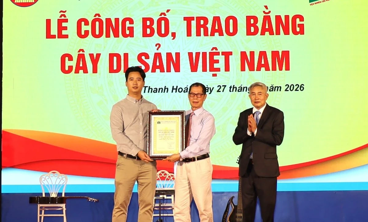 Thành lập Bảo tàng gốm Tam Thọ trong Khu du lịch sinh thái Linh Kỳ Mộc