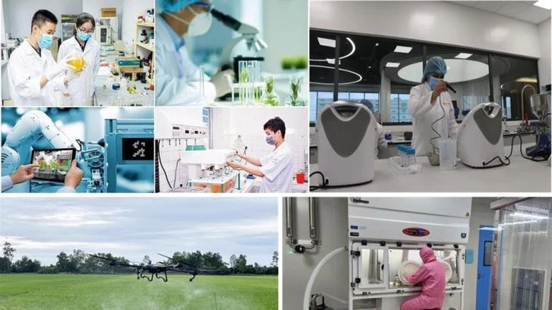 Thanh niên với tương lai đất nước