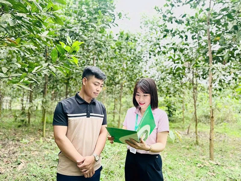 Tín dụng chính sách - nguồn lực thoát nghèo bền vững