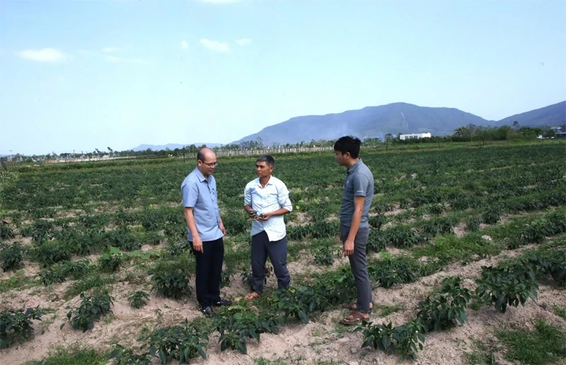 “Quả ngọt” từ chuyển đổi cơ cấu cây trồng