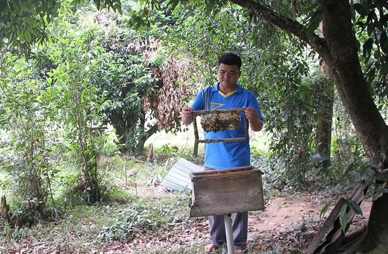 Đa dạng các biện pháp giảm nghèo ở Xuân Thái