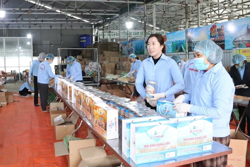 Những phụ nữ làm kinh tế giỏi, an sinh xã hội tốt