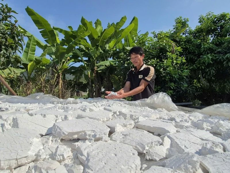 Nông dân làm giàu từ mô hình trồng sắn dây