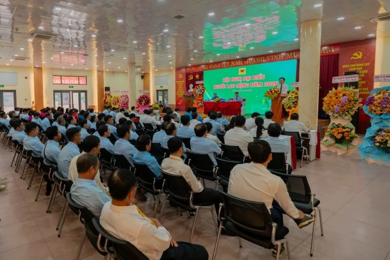 Bình Điền vượt 10.000 tỷ đồng doanh thu, khẳng định vị thế dẫn đầu ngành phân bón