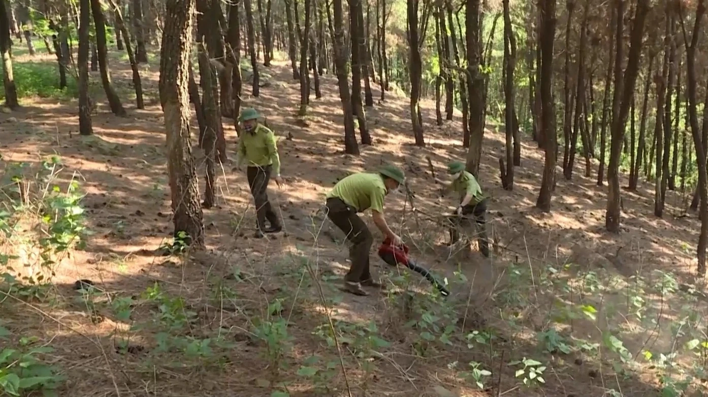 Cảnh báo nguy cơ cháy rừng cấp III tại phường Trúc Lâm từ 31/3 đến 4/4/2026