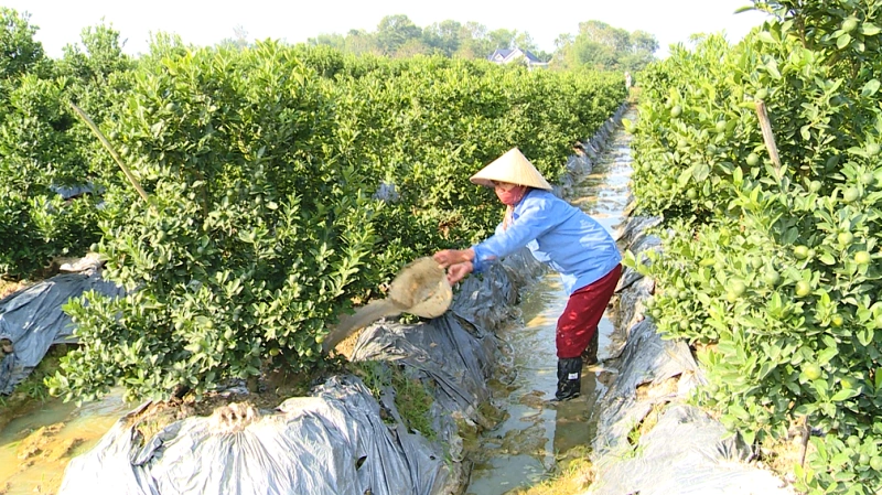 Xã Hợp Tiến phát huy nội lực xây dựng nông thôn mới