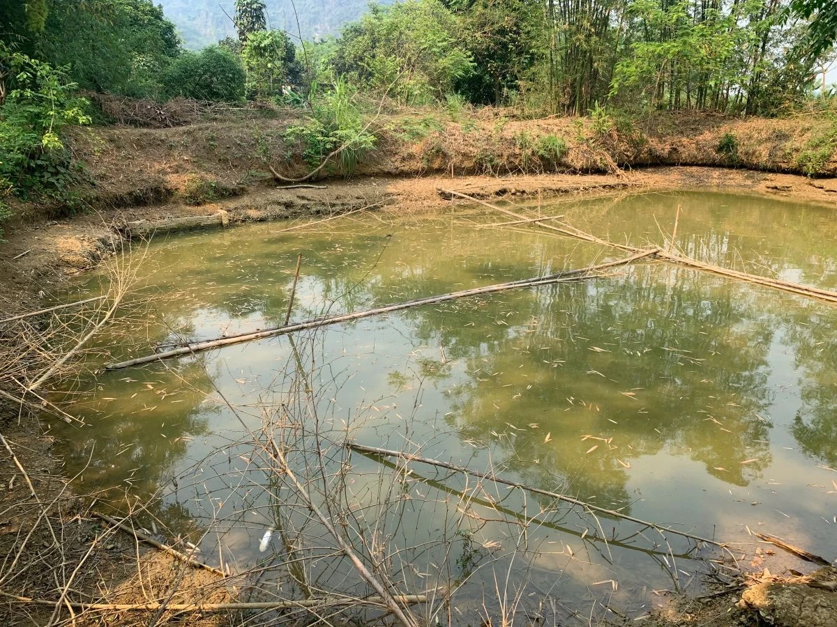 Thi công công trình, nhiều diện tích lúa đứng trước nguy cơ khô hạn