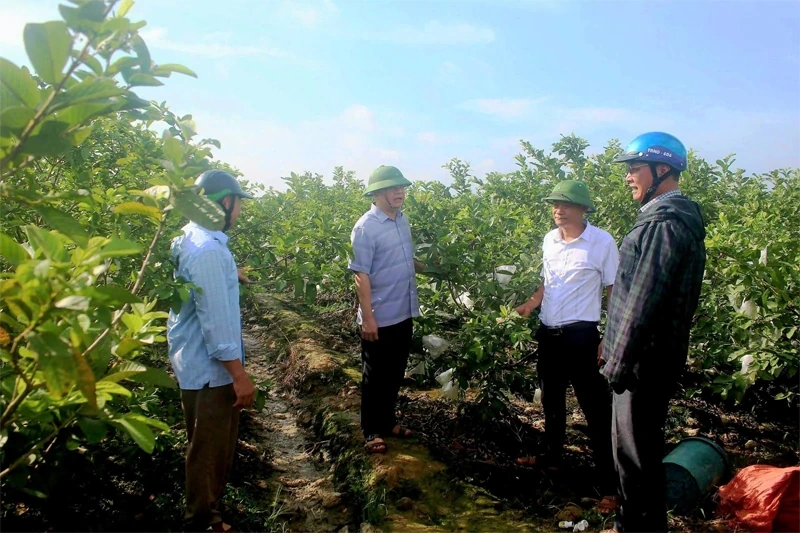 Hà Long triển khai các chương trình trọng tâm, khâu đột phá