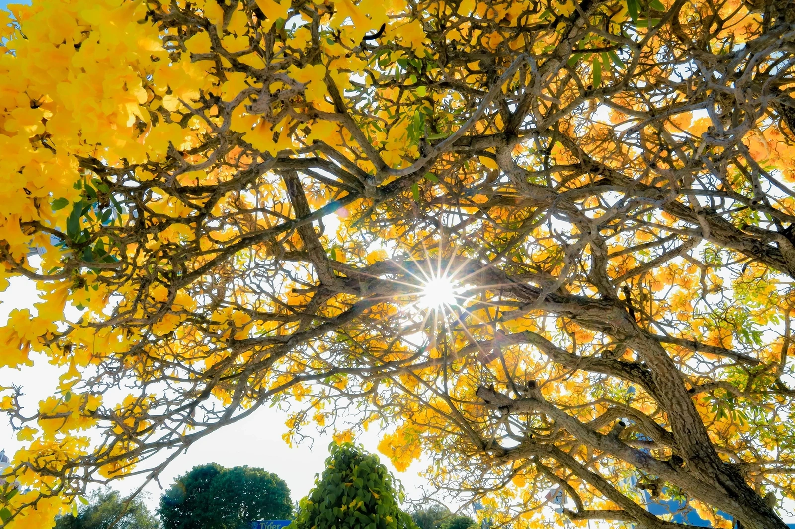 [E-Magazine]: Tháng tư nghe lòng mình chín