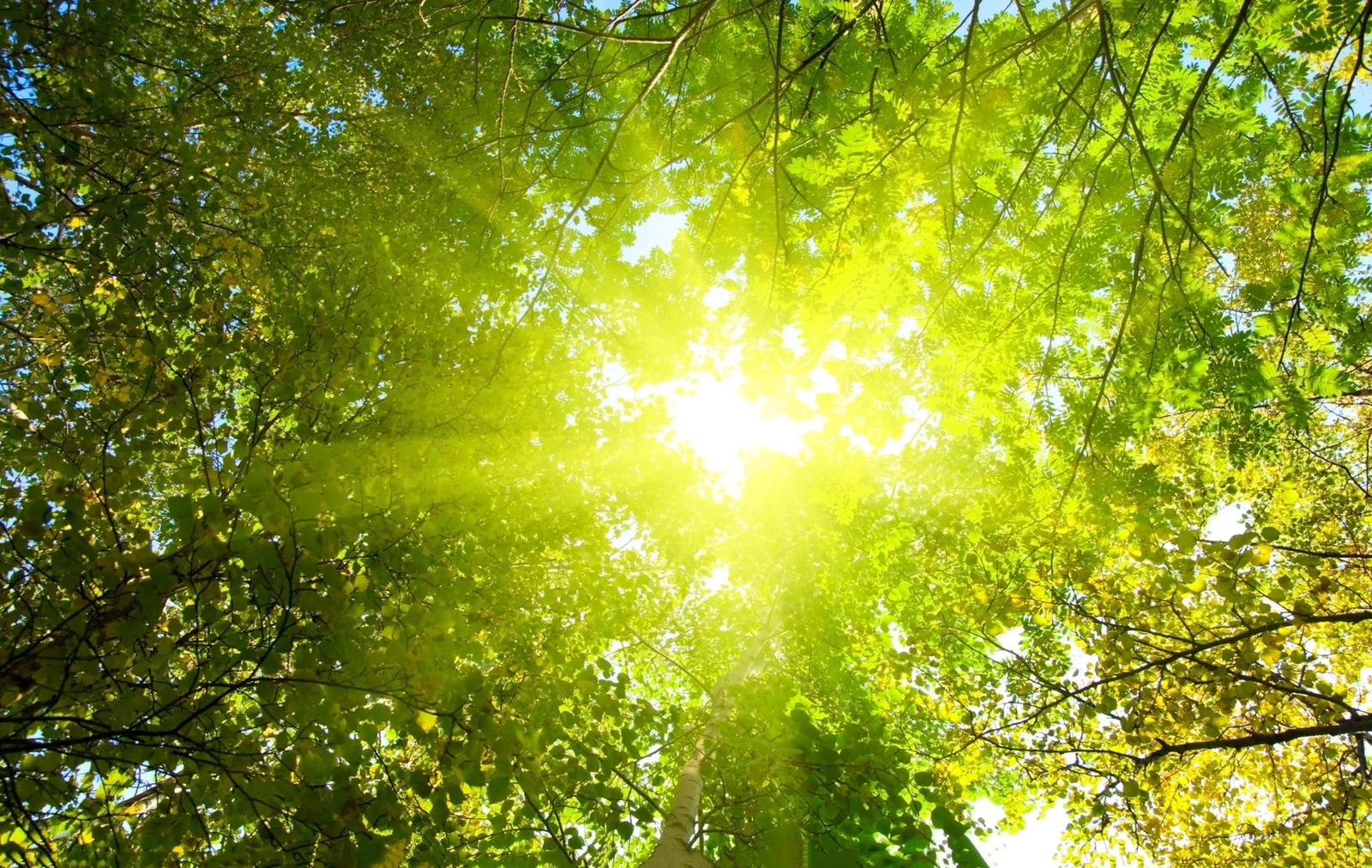 [E-Magazine]: Tháng tư nghe lòng mình chín