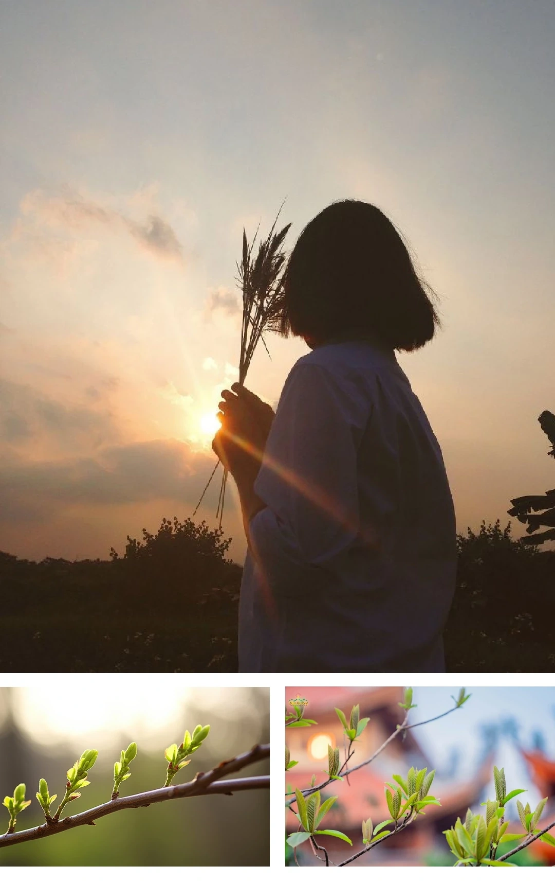 [E-Magazine]: Tháng tư nghe lòng mình chín