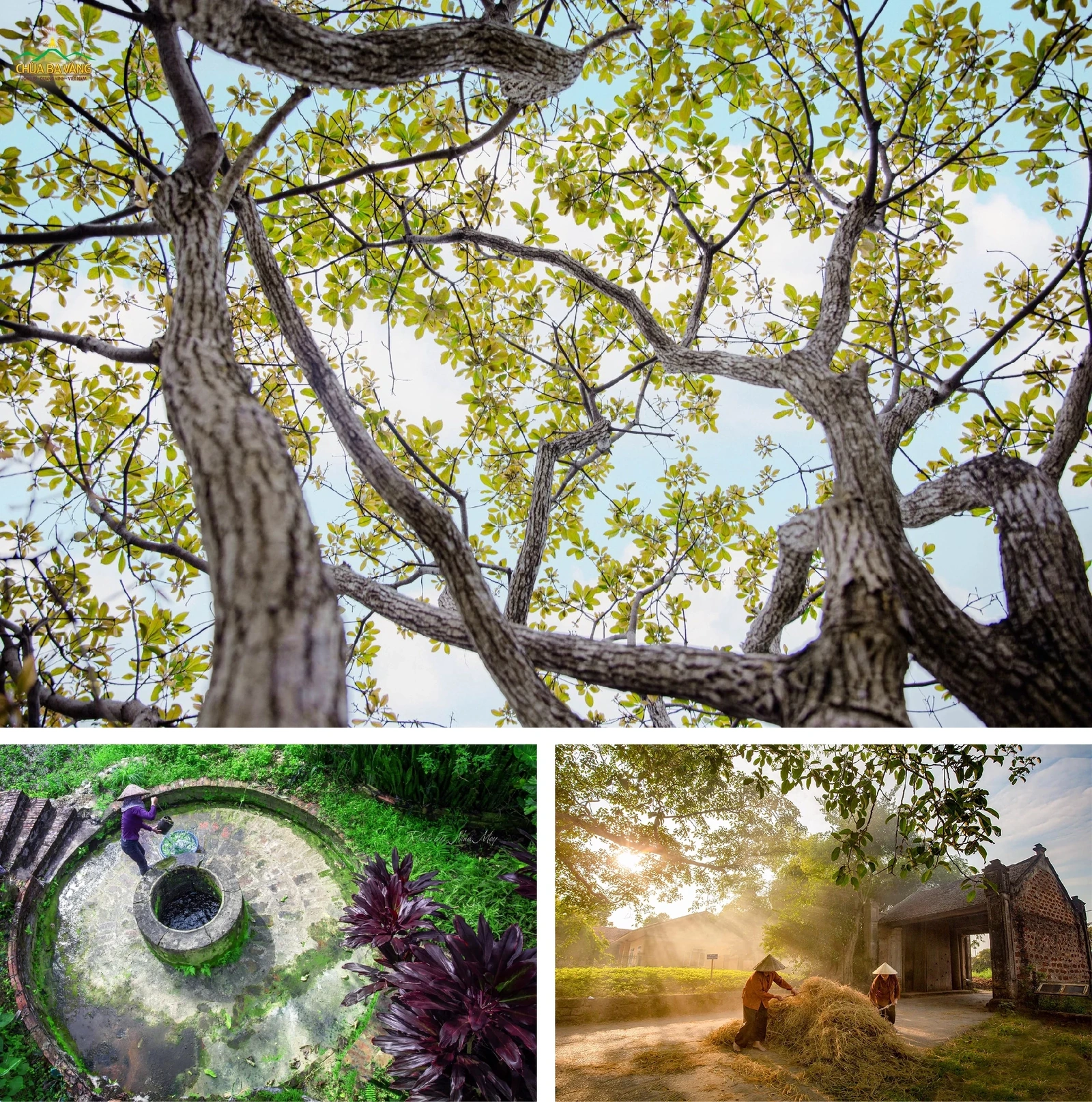 [E-Magazine]: Tháng tư nghe lòng mình chín