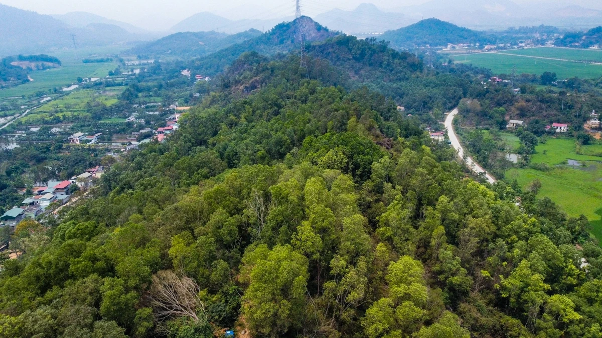 Thăm mộ Vua Bà