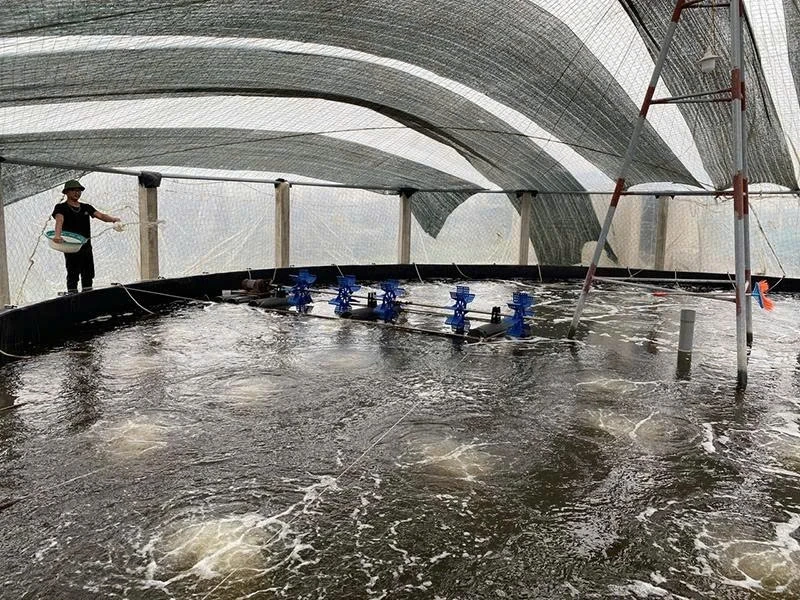 Hoằng Châu phát triển kinh tế, nâng cao thu nhập cho người dân