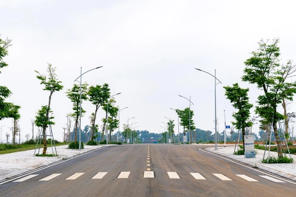 Hiệu ứng lan tỏa: Nhu cầu gia tăng đột biến