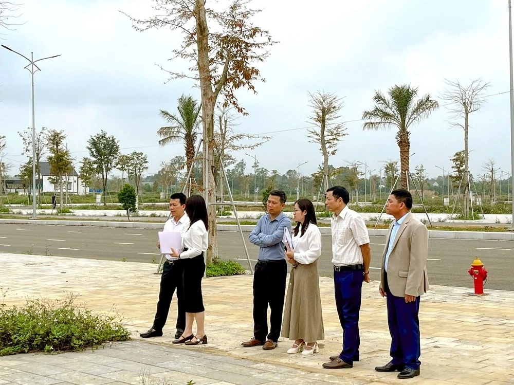 Hiệu ứng lan tỏa: Nhu cầu gia tăng đột biến