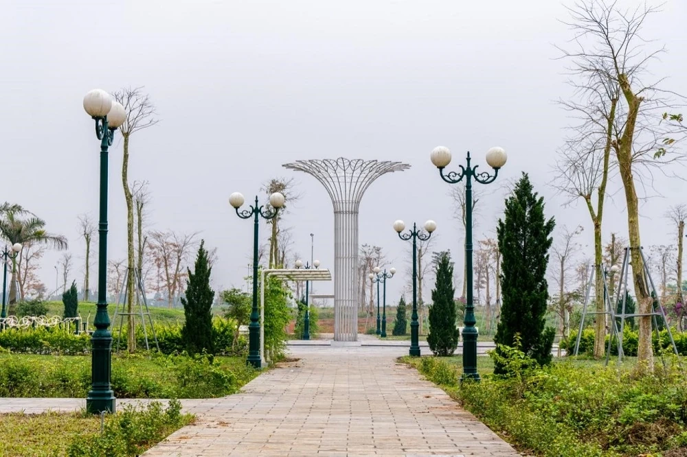 Hiệu ứng lan tỏa: Nhu cầu gia tăng đột biến