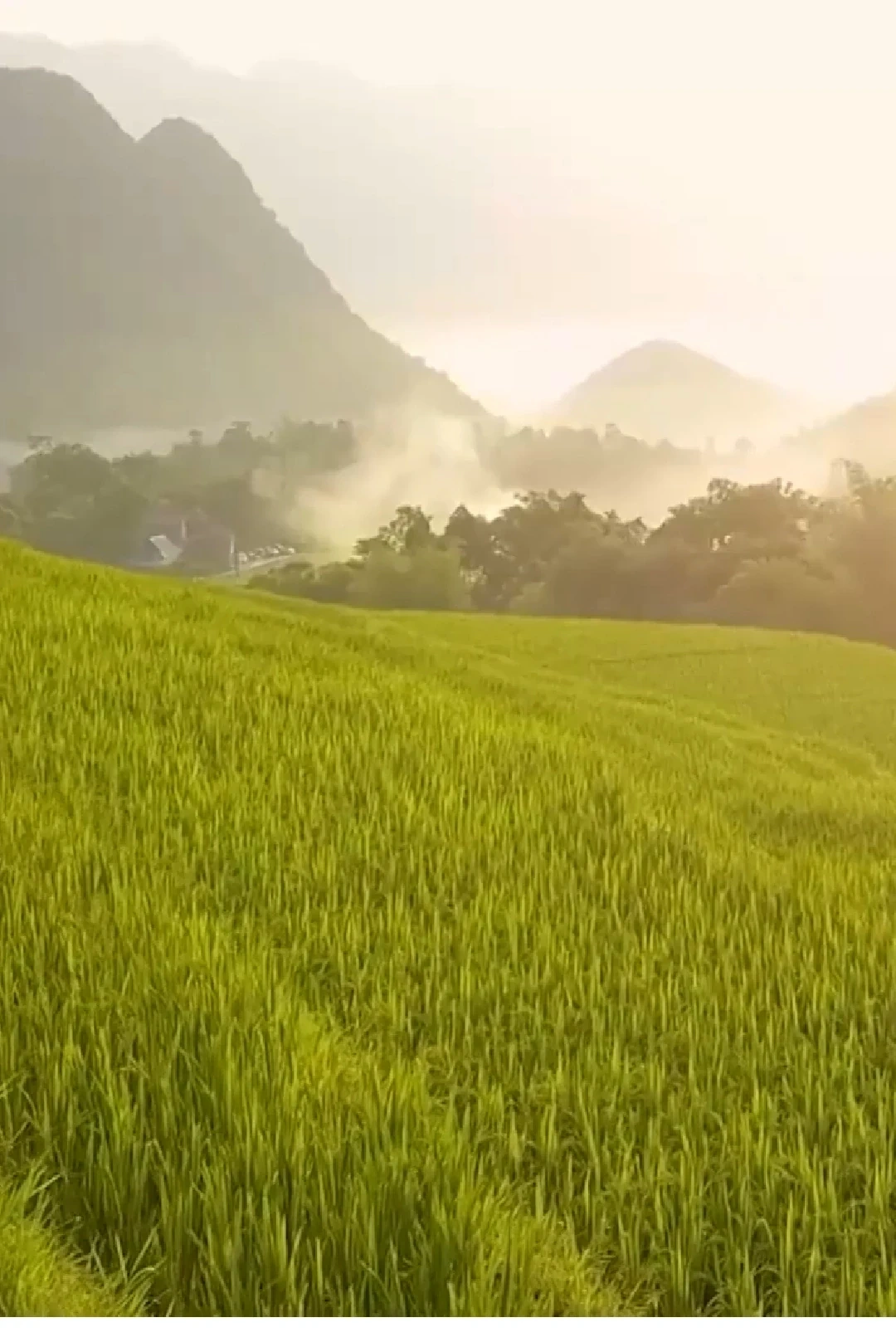 Ký sự miền sơn cước: Pù Luông – Bản hòa ca bốn mùa