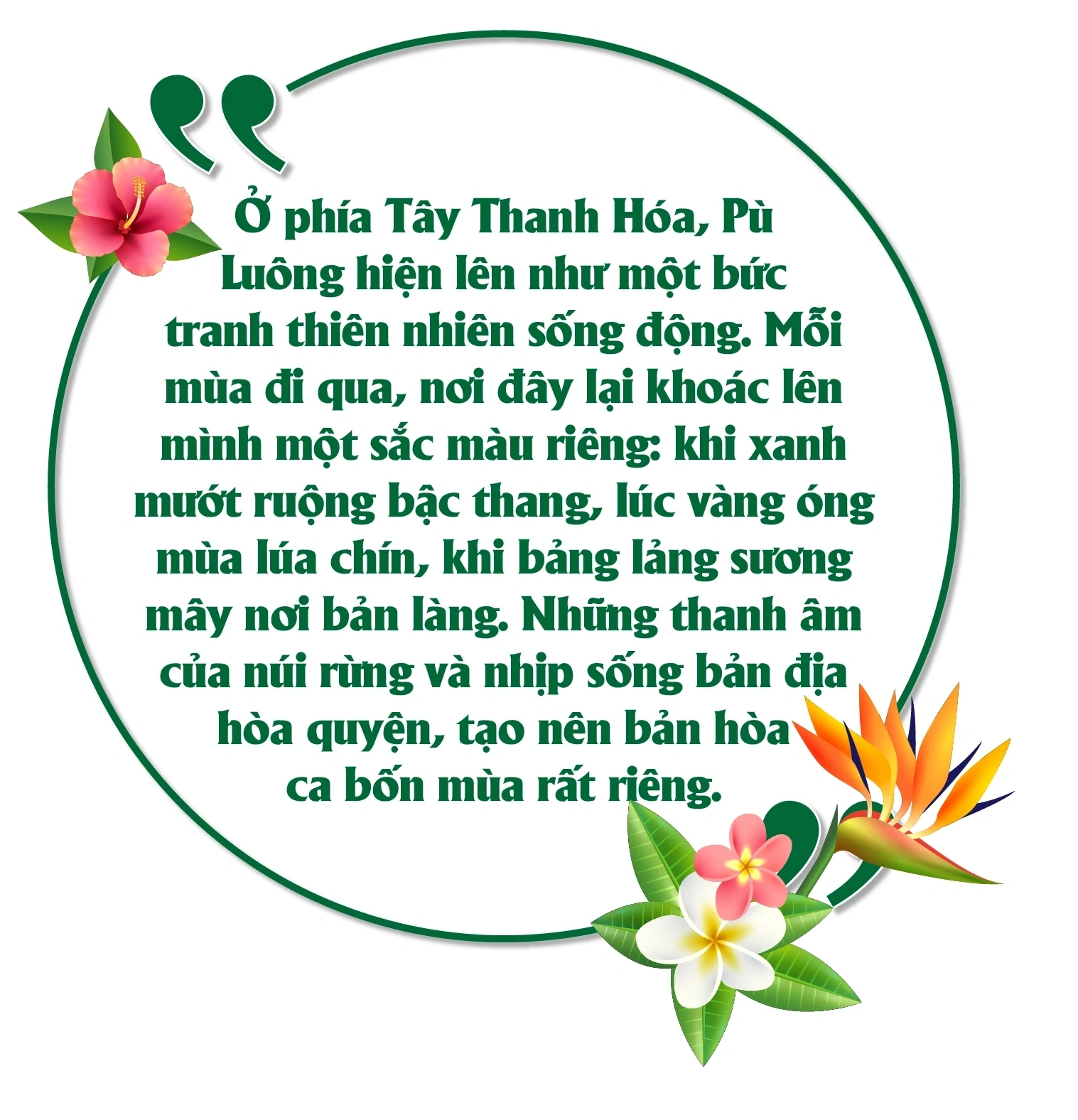 Ký sự miền sơn cước: Pù Luông – Bản hòa ca bốn mùa