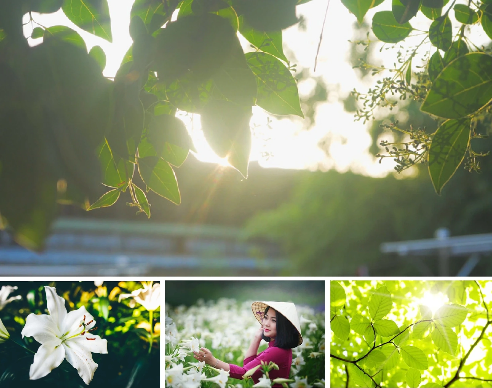 [E-Magazine]: Lặng yên nghe khúc giao mùa