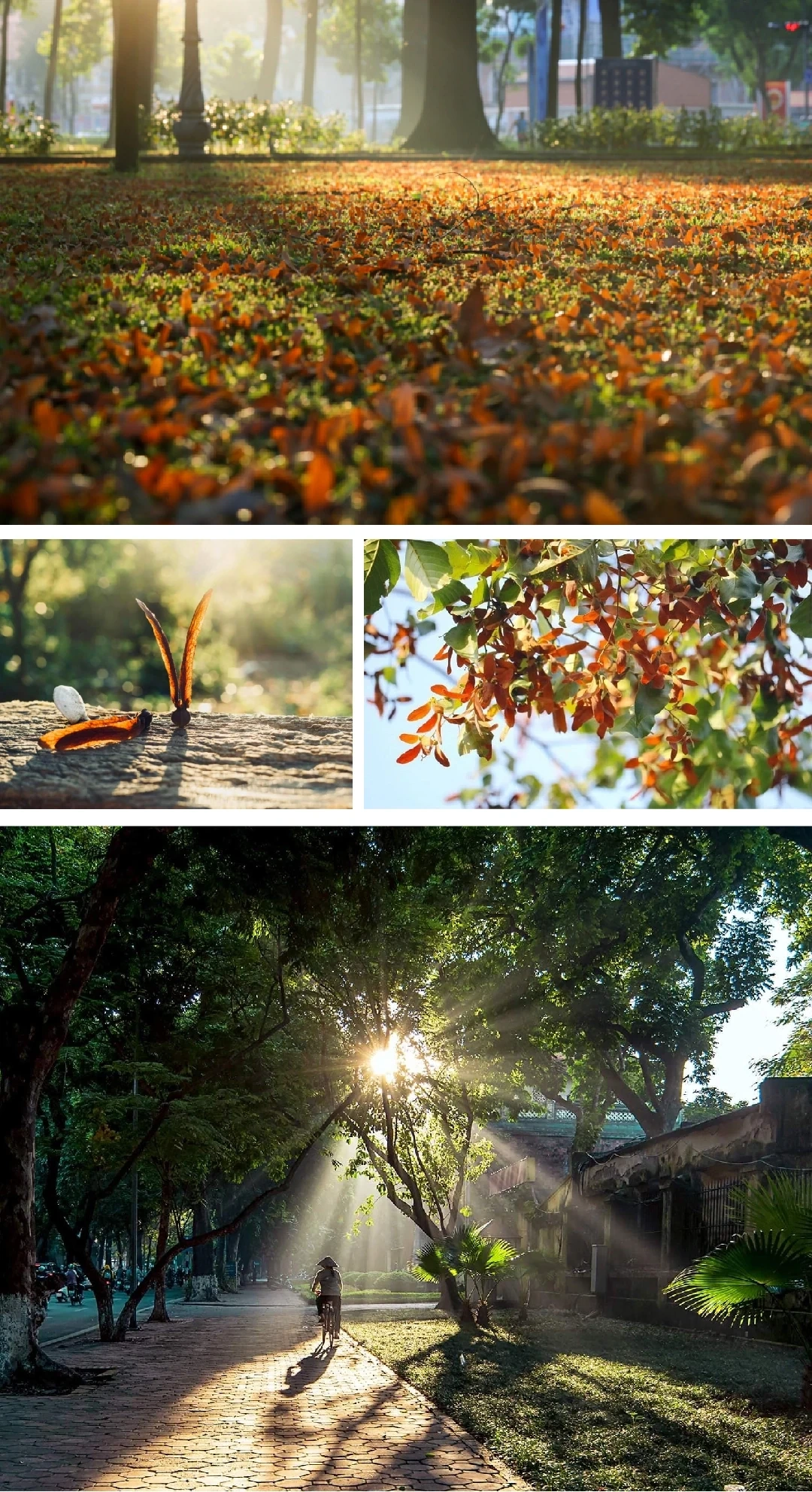 [E-Magazine]: Lặng yên nghe khúc giao mùa