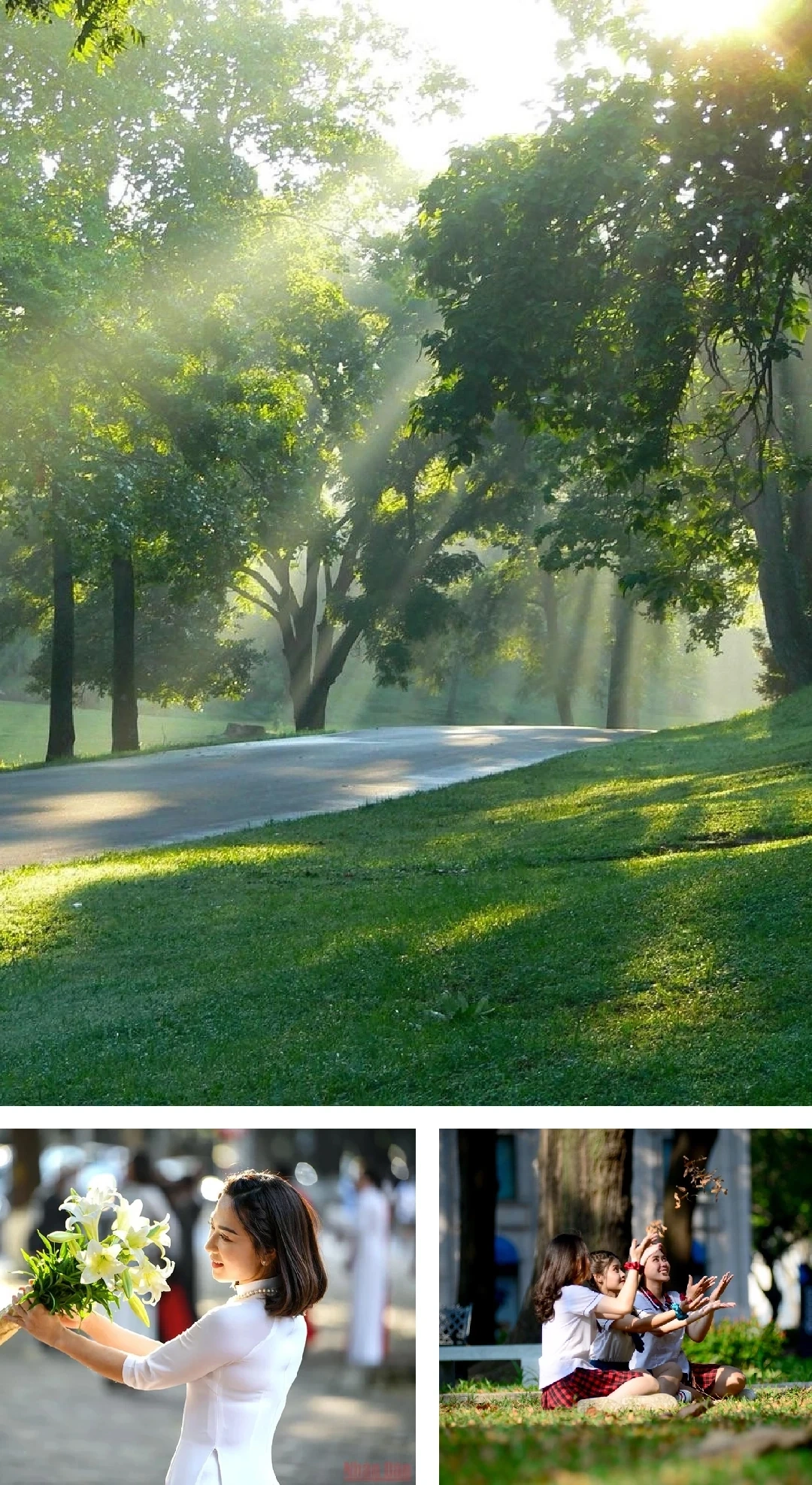 [E-Magazine]: Lặng yên nghe khúc giao mùa