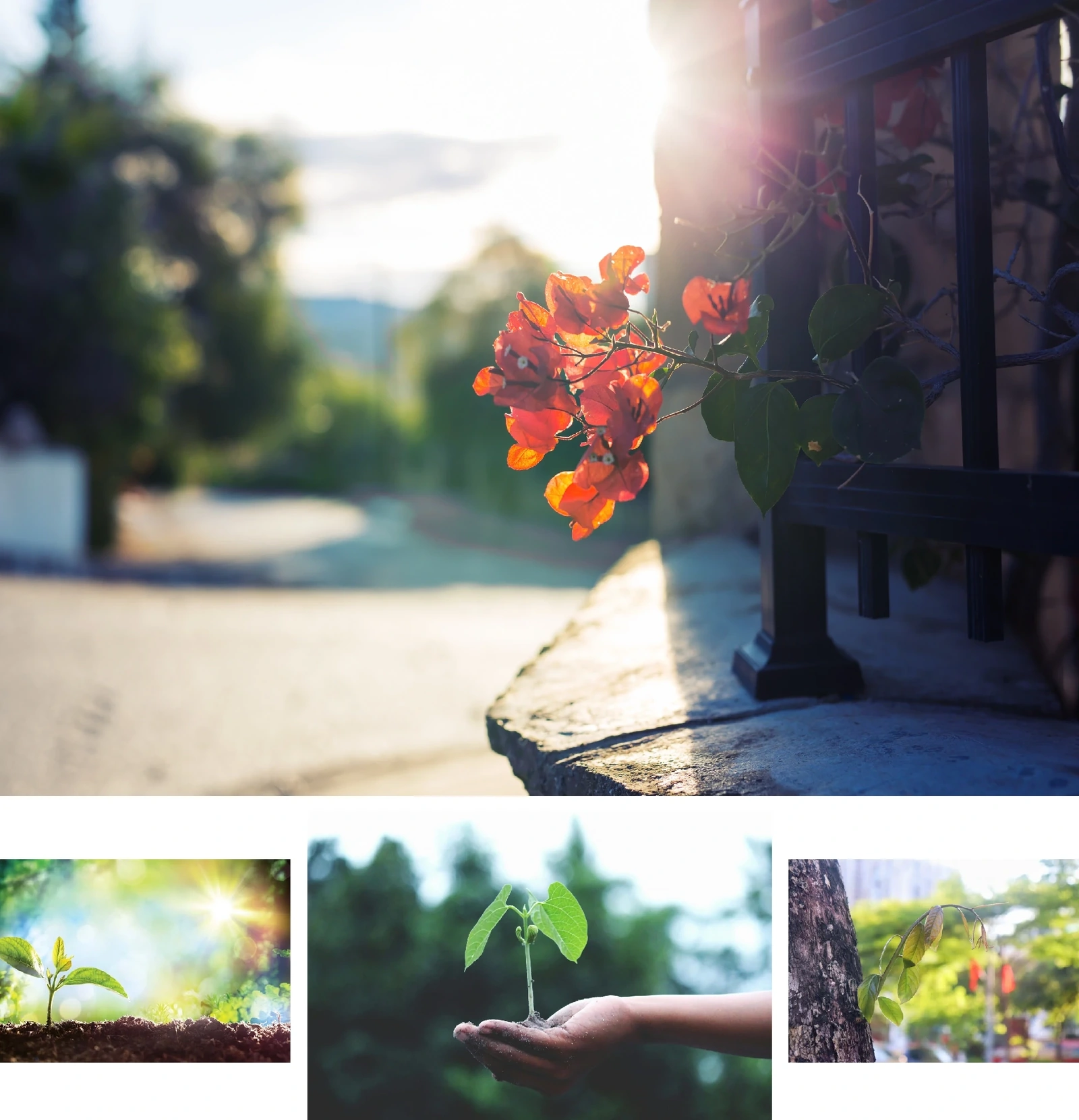 [E-Magazine]: Lặng yên nghe khúc giao mùa