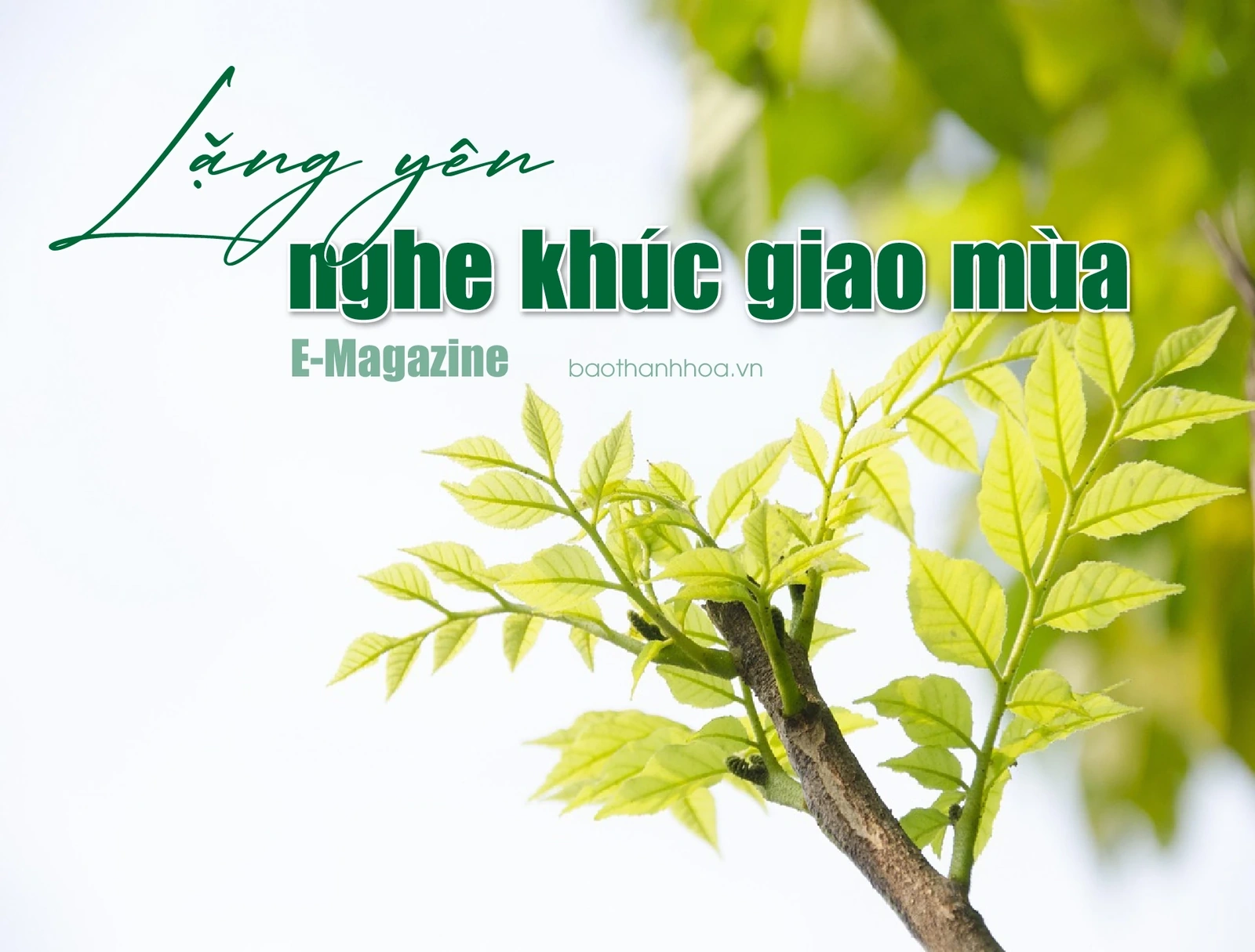 [E-Magazine]: Lặng yên nghe khúc giao mùa