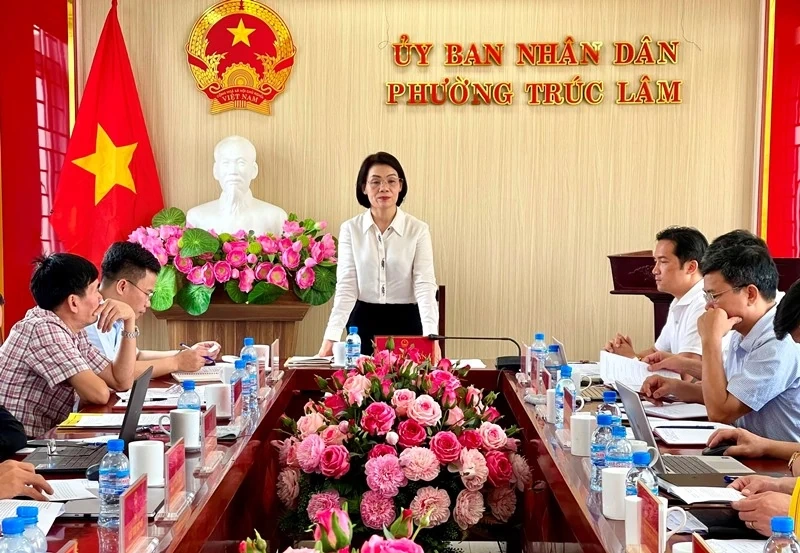 Giám sát thực hiện Nghị quyết số 57 của Bộ Chính trị tại phường Trúc Lâm