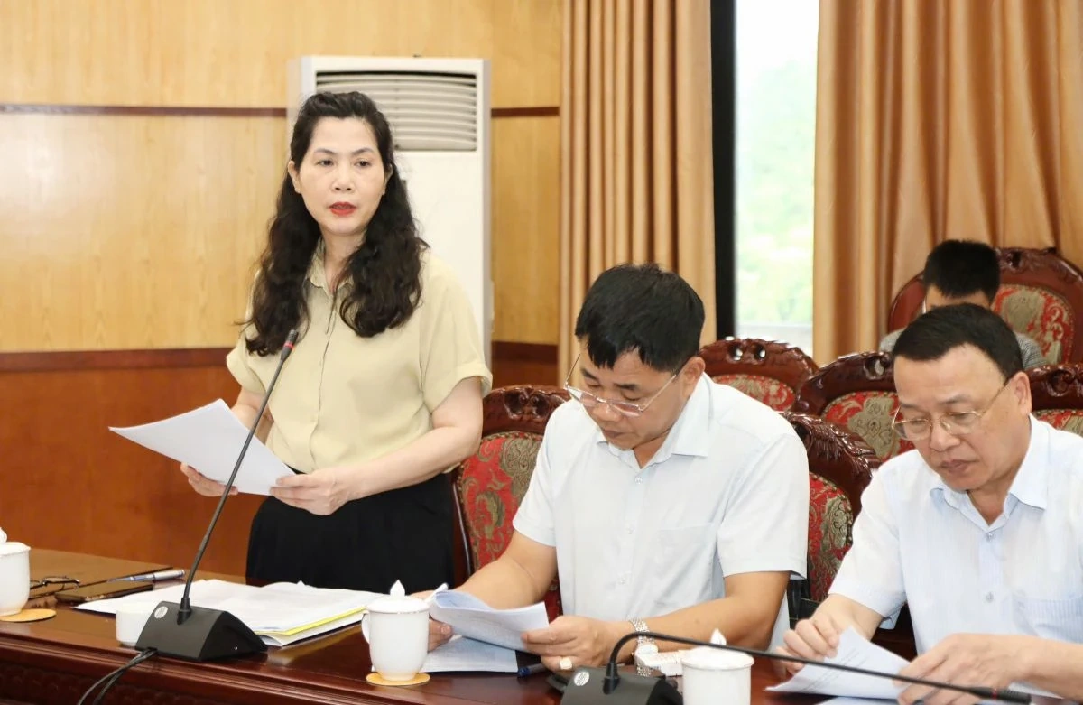 Thảo luận, cho ý kiến vào dự thảo Quy định quản lý thống nhất các hoạt động đối ngoại trên địa bàn tỉnh