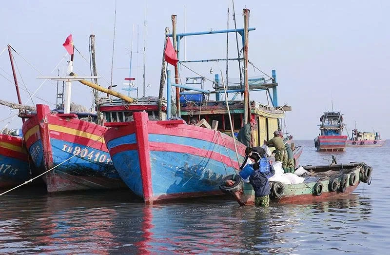 Chủ động thích ứng trước biến động (Bài 3): Giải pháp trước mắt, chiến lược dài hạn đặt ra với ngành nông nghiệp
