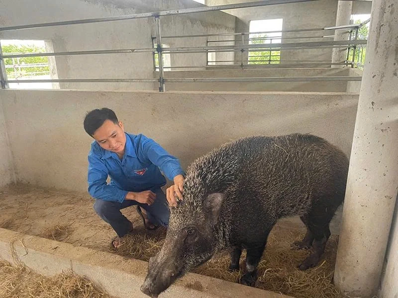 Chàng trai trẻ quyết tâm làm giàu từ nghề nông