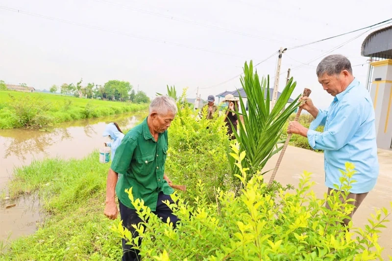 Dấu ấn cựu chiến binh trong đời sống xã hội