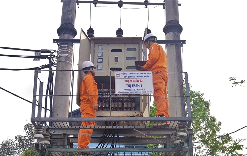 Điện lực Thường Xuân cải tạo hệ thống điện phục vụ dân sinh và sản xuất