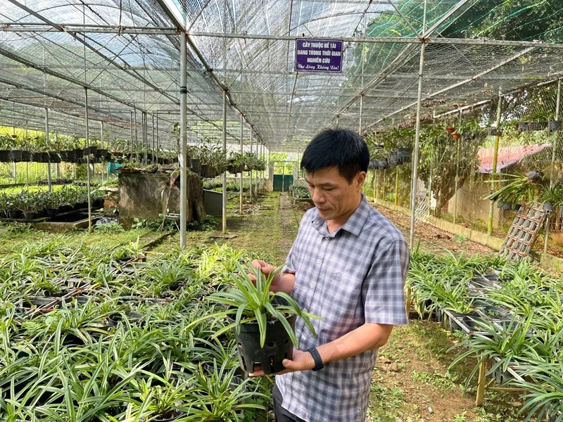 Bảo tồn tính đa dạng sinh học ở Vườn quốc gia Xuân Liên