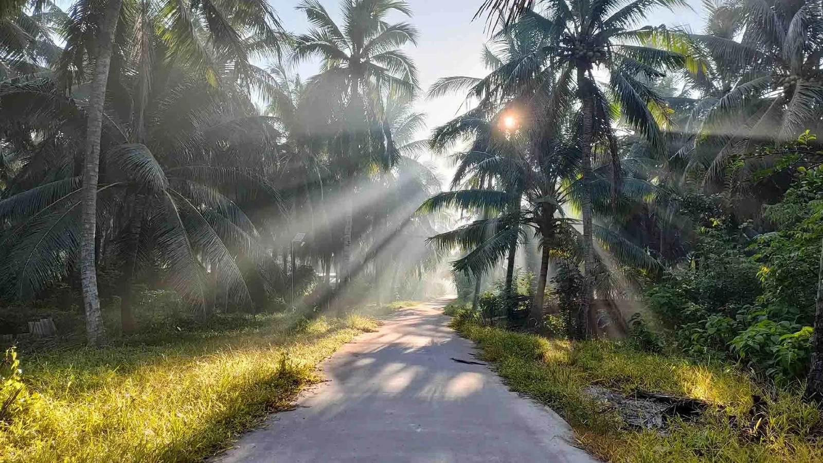 [E-Magazine]: Chạm vào ta với những nồng nàn