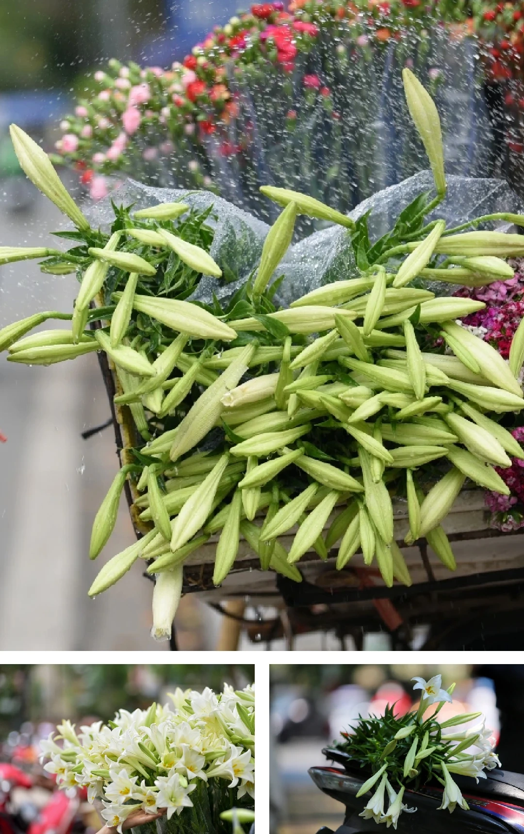 [E-Magazine]: Chạm vào ta với những nồng nàn