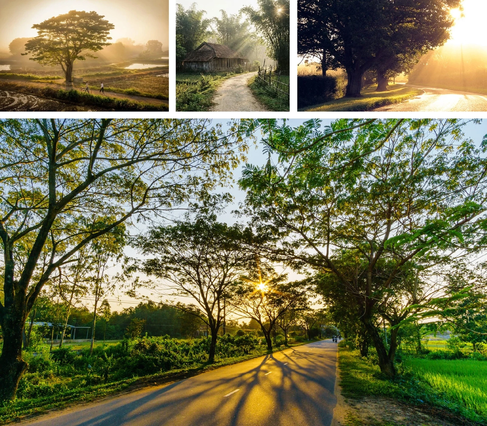 [E-Magazine]: Chạm vào ta với những nồng nàn