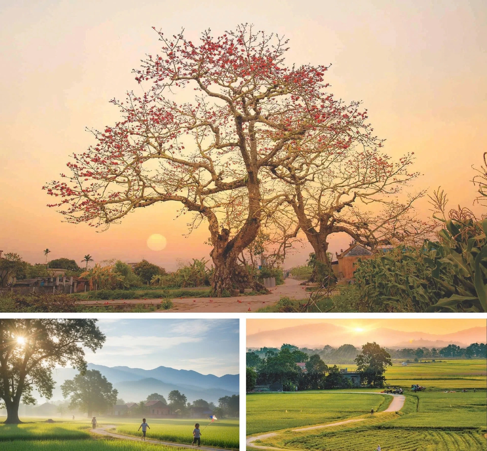 [E-Magazine]: Chạm vào ta với những nồng nàn