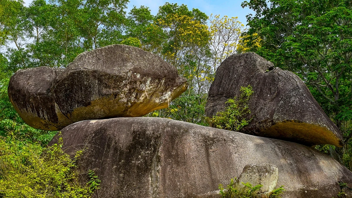 Theo dấu chân trên núi Trường Lệ - mở cánh cửa di sản Sầm Sơn