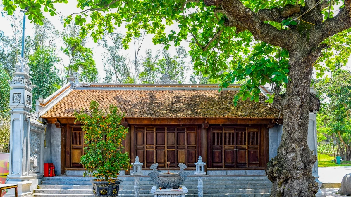 Theo dấu chân trên núi Trường Lệ - mở cánh cửa di sản Sầm Sơn