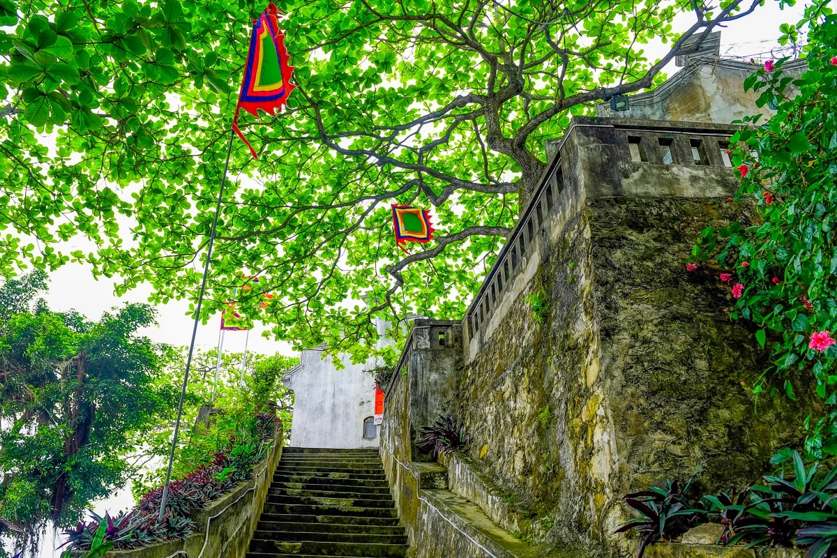 Theo dấu chân trên núi Trường Lệ - mở cánh cửa di sản Sầm Sơn