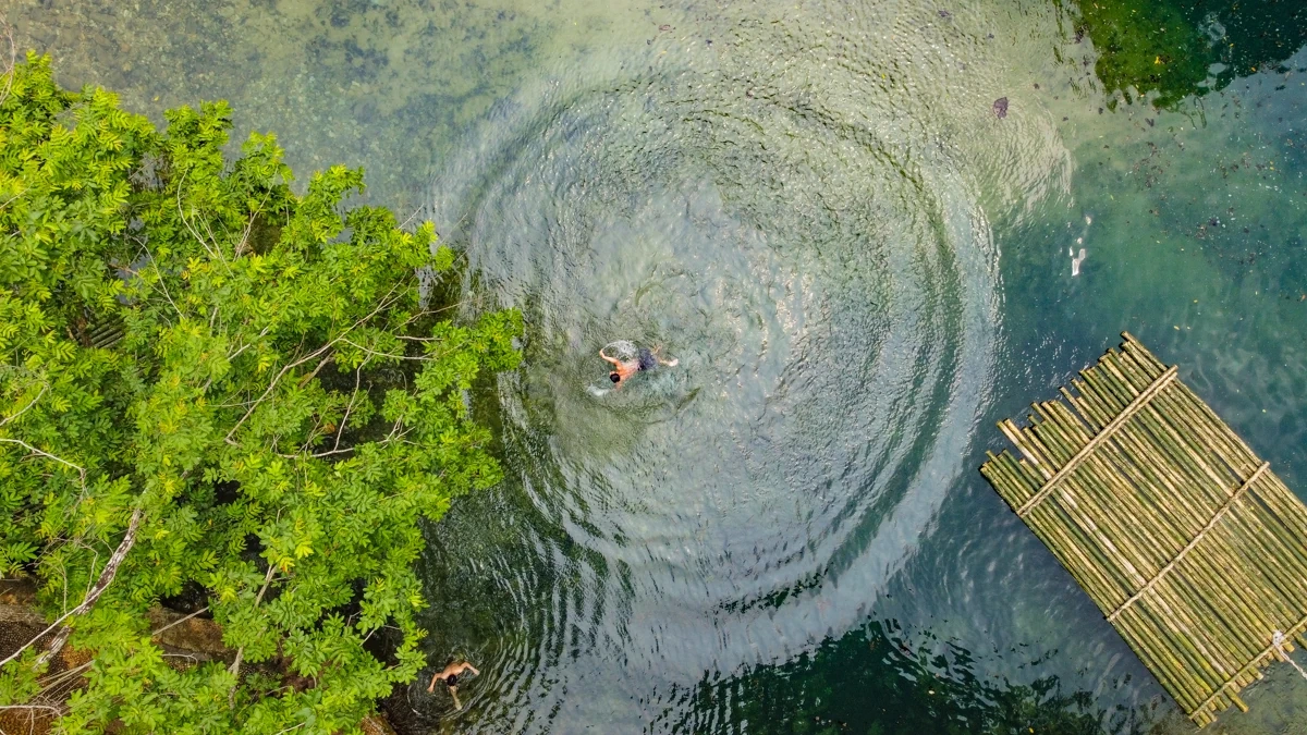 Vẻ đẹp của Suối Mây - Bản hòa ca xanh giữa đại ngàn xứ Thanh