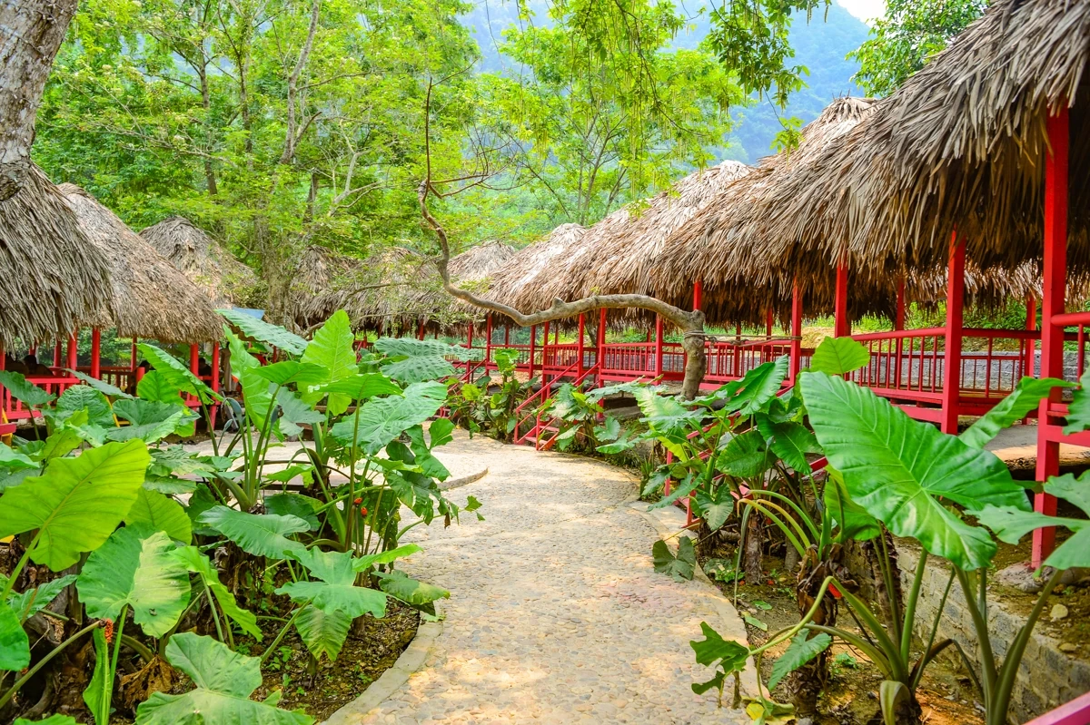 Vẻ đẹp của Suối Mây - Bản hòa ca xanh giữa đại ngàn xứ Thanh