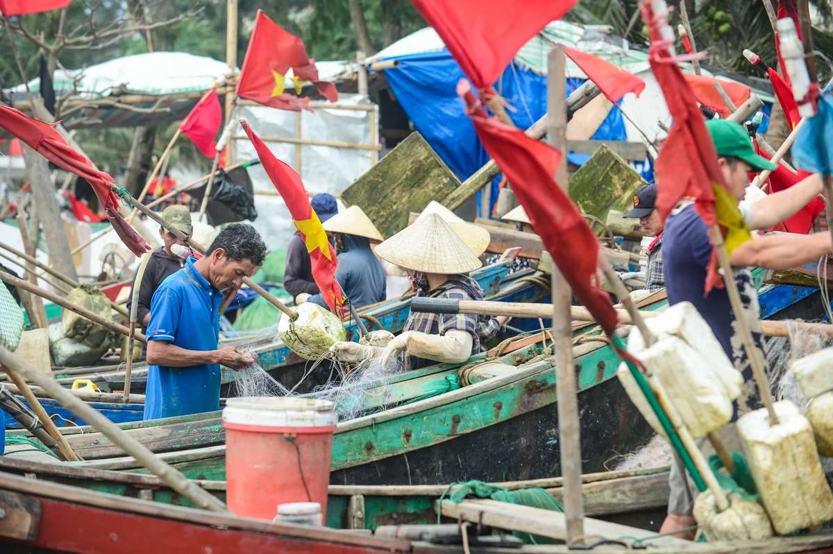Về làng chài Sầm Sơn, trải nghiệm nhịp sống biển